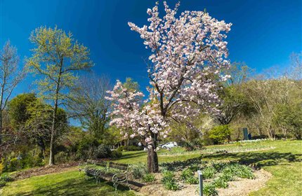 Giardino Viatori - Rassegna stampa: Riapre al pubblico il bellissimo Giardino Viatori, idea apertura in autunno