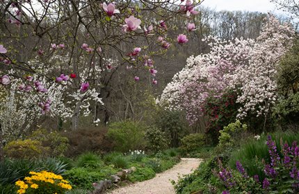 Giardino Viatori - Dal 29 marzo riapre il Giardino Viatori!